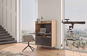 9500.053276 Lime Work Station Pure Black and Oak (7)