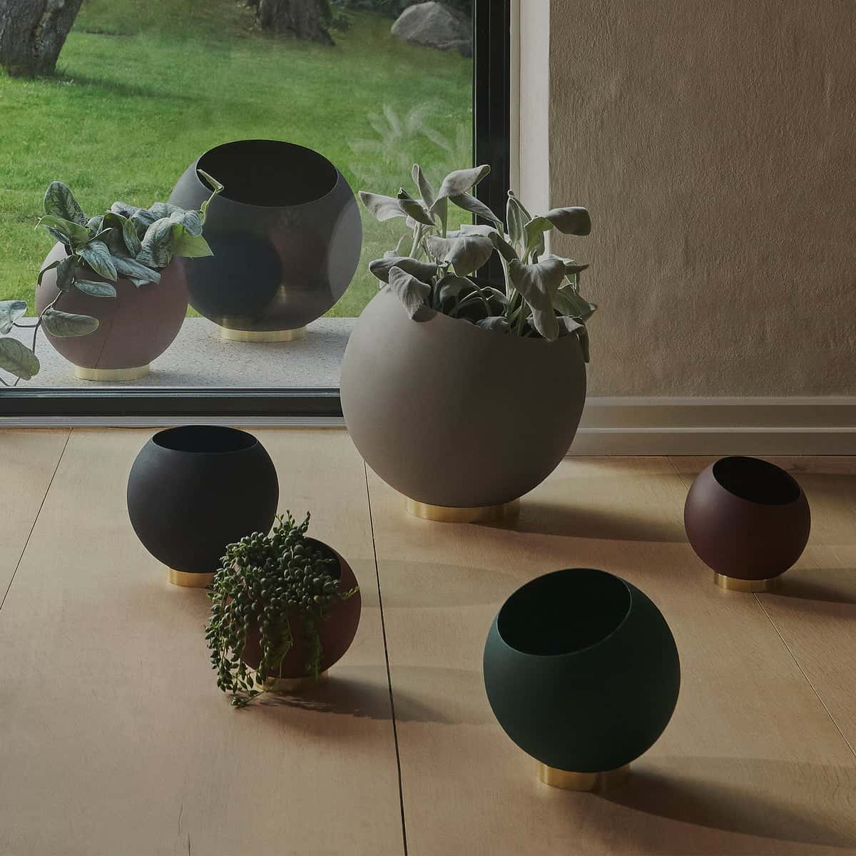 AYTM-Globe-Blumentoepfe-Gruppe-Situation-1