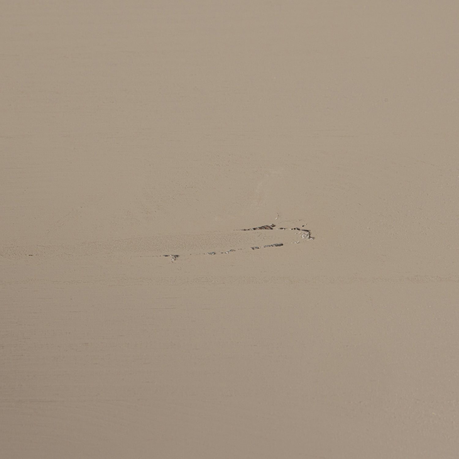 Armadio giornaliero singolo 200x50cm pino dakargrau