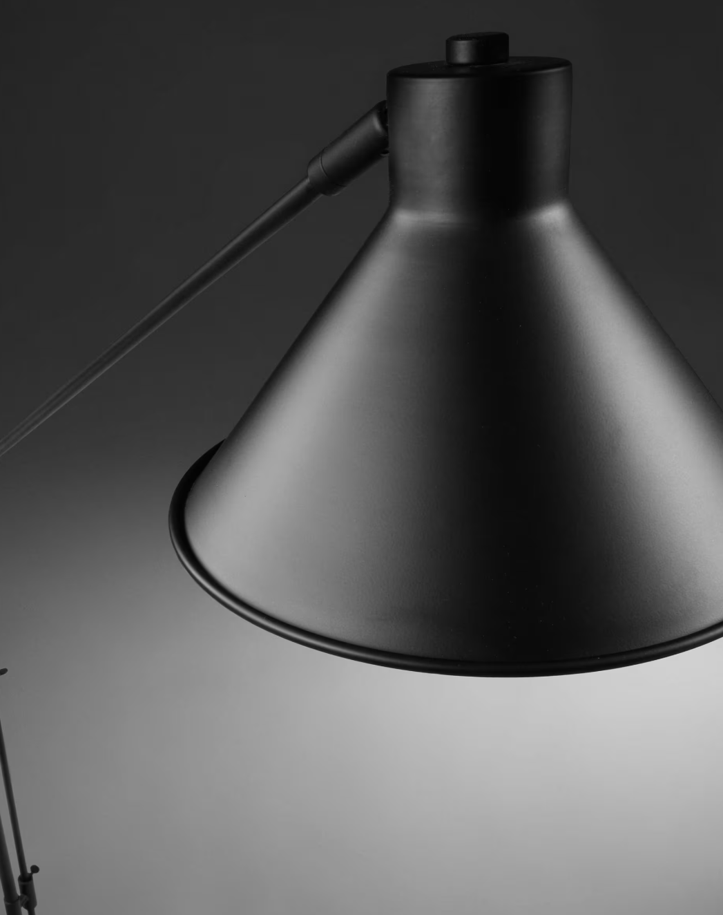 Dione black floor lamp