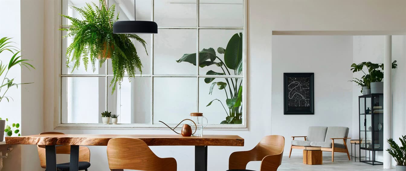 rea-pendant-Ambience_Image