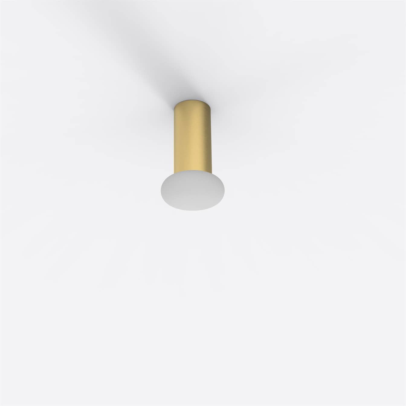 rina_ceiling_Media_04507