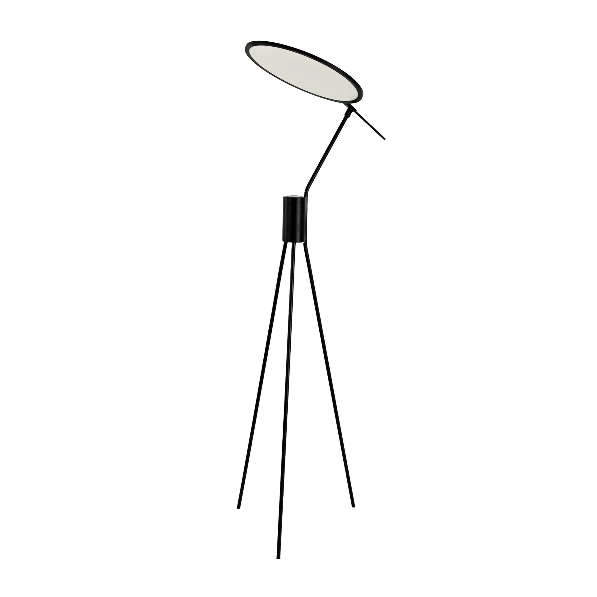 Lampada da terra in acciaio nero