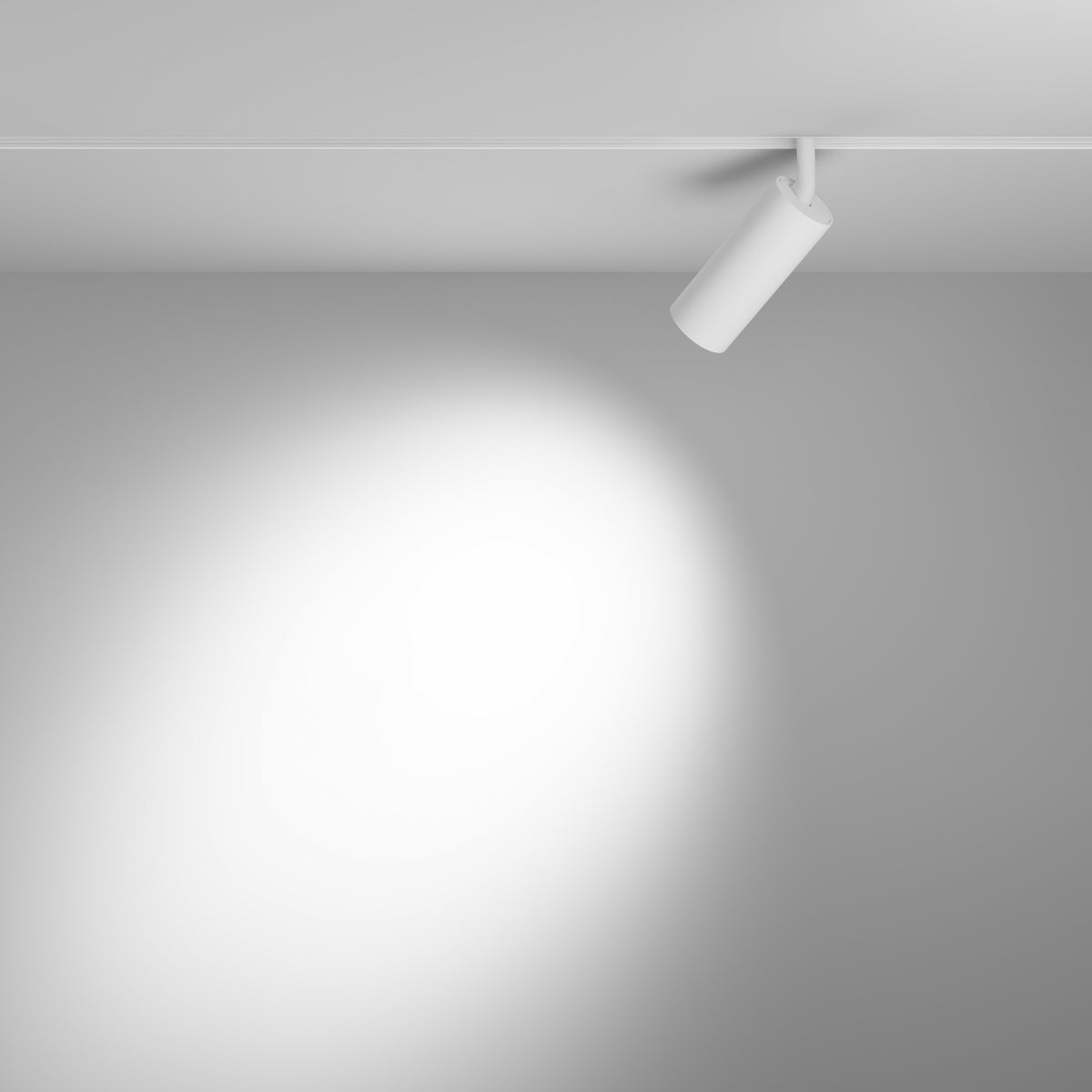 Faretto per binario Focus LED - Maytoni - Bianco - TR032-4-12WTW-S-DD2-W