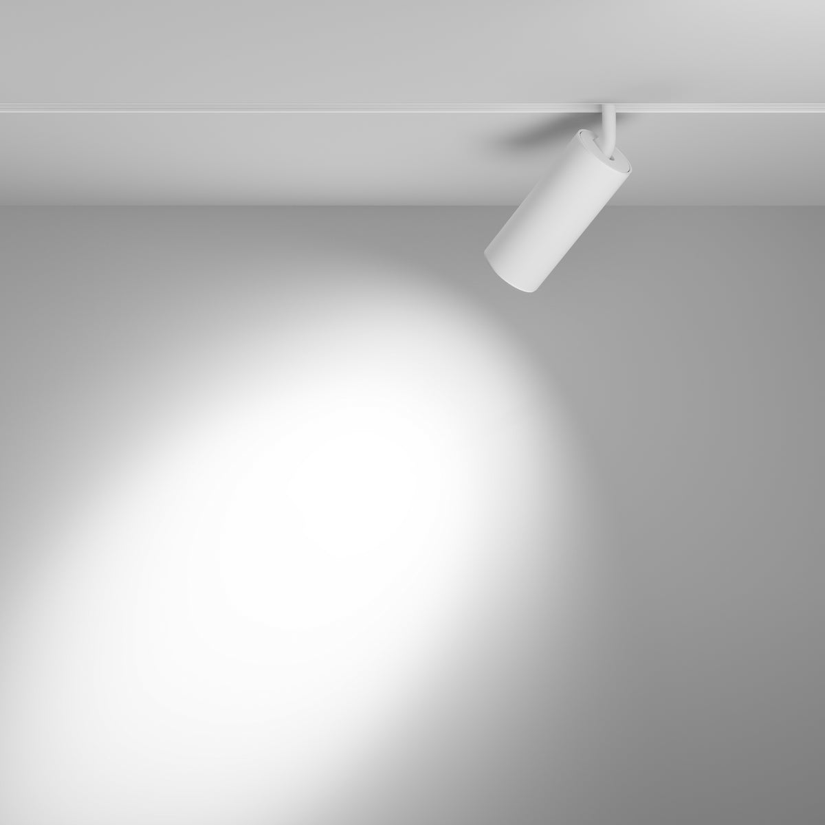 Faretto per binario Focus LED - Maytoni - Bianco - TR032-4-20WTW-S-DD2-W
