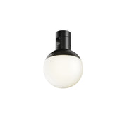 Faretto per binario Luna - Maytoni - Nero - TR149-1-5W3K-B-DE
